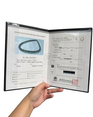AURORA PEACOK - NỮ HOÀNG CỦA NỮ HOÀNG 